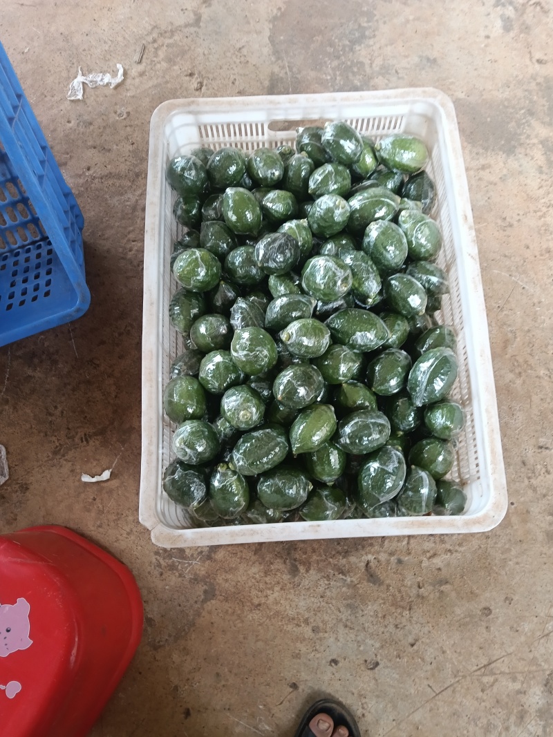 广东湛江香水柠檬