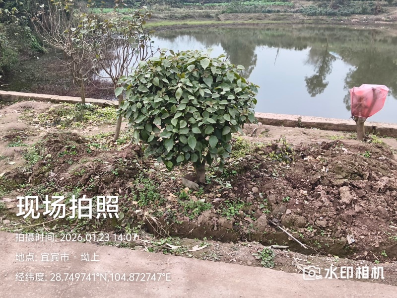 你喜欢什么规格的告诉你我都是现货