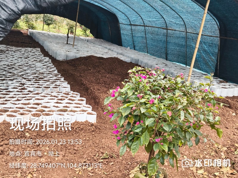 你喜欢什么规格的告诉你我都是现货