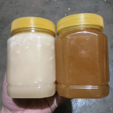 土蜂蜜