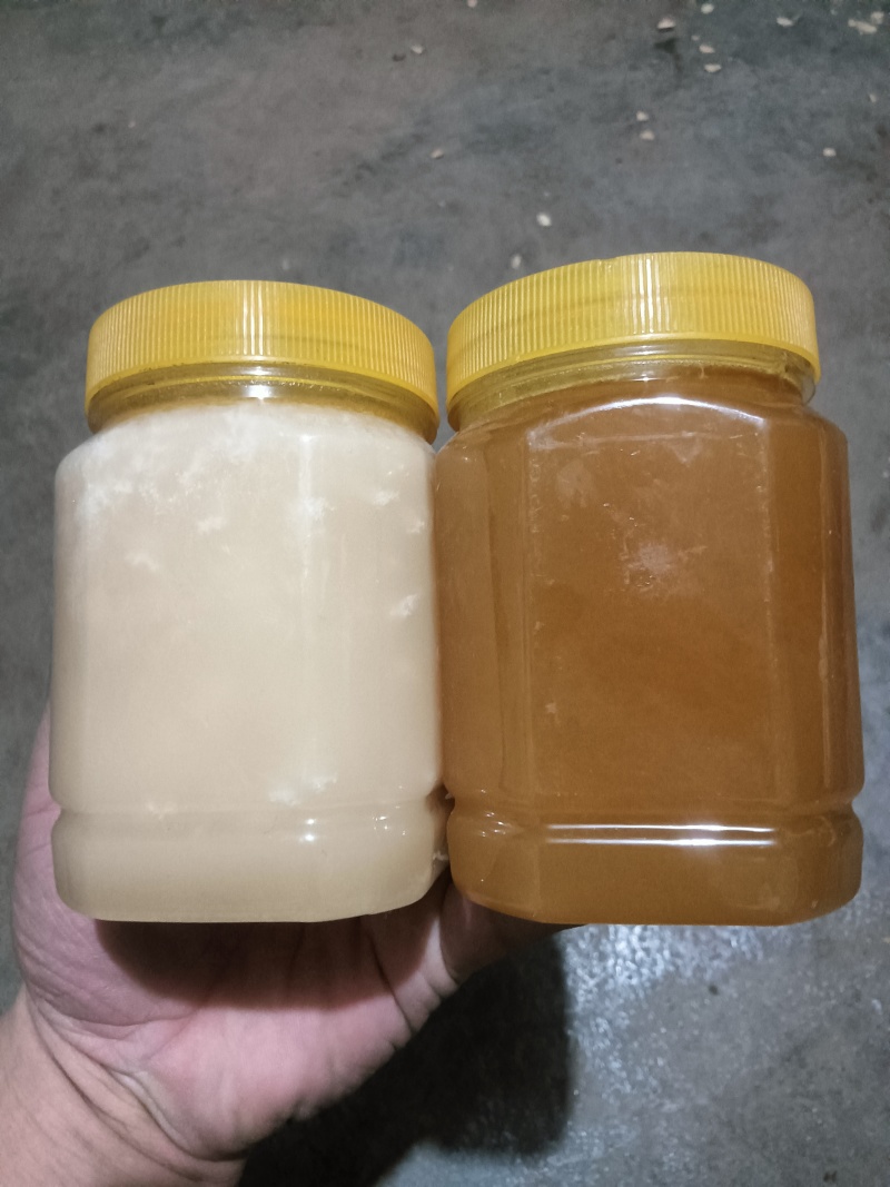 土蜂蜜