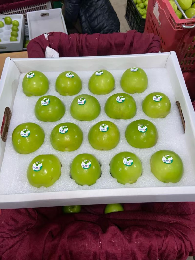 西双版纳苹果枣