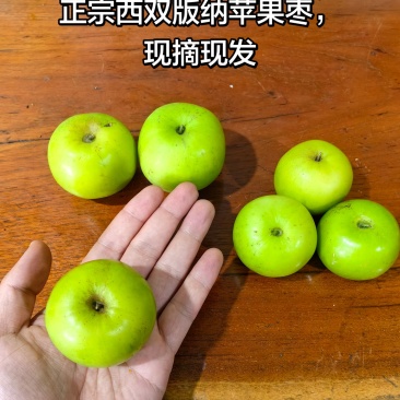 西双版纳苹果枣
