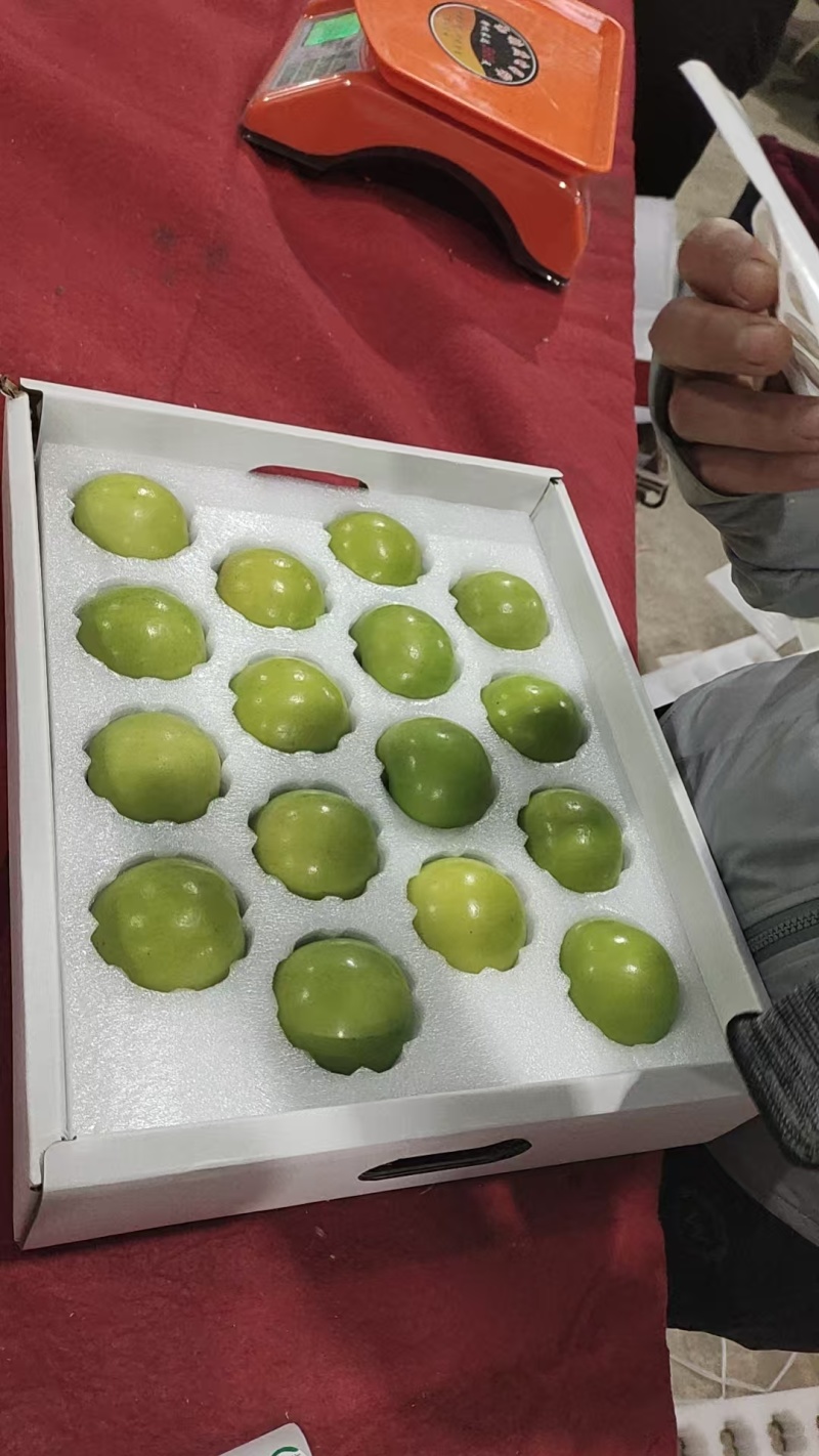 西双版纳苹果枣