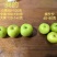 西双版纳苹果枣