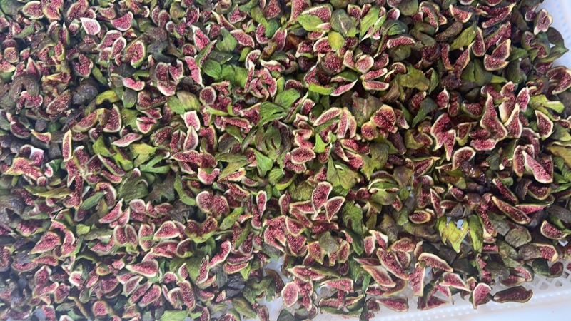 青皮无花果烘干条
