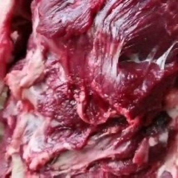 南阳新鲜黄牛肉。每天现杀。不注水。无病牛
