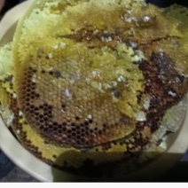 野生土蜂蜜