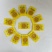修水县金丝皇菊