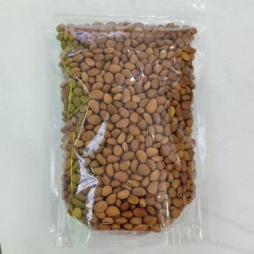 新货大开口松子，华山松，支持电商一键代发批量拿货