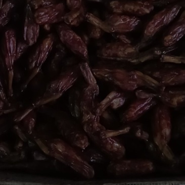 烟薰鸭爪包肉