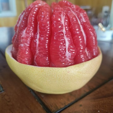 柚子