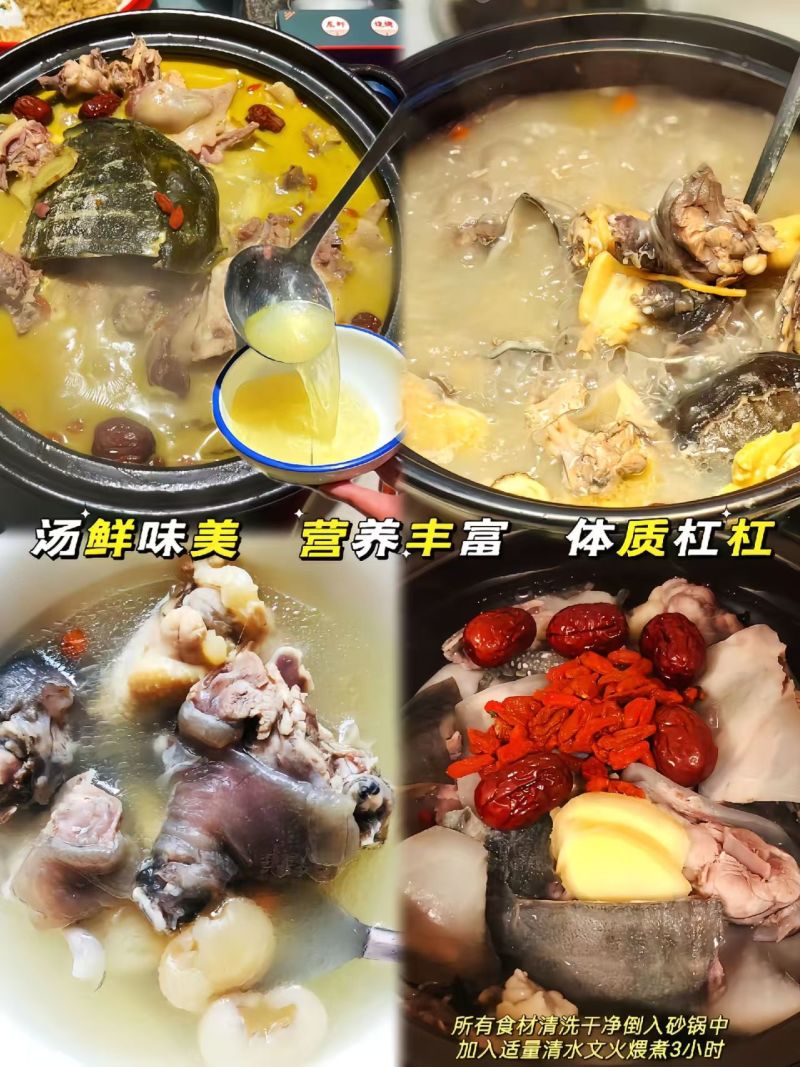 （汉寿甲鱼）汉寿外塘生态甲鱼活体甲鱼包活