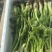 东北山野菜