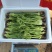 东北山野菜