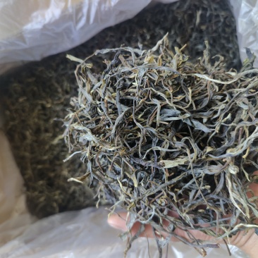 云南普洱茶
