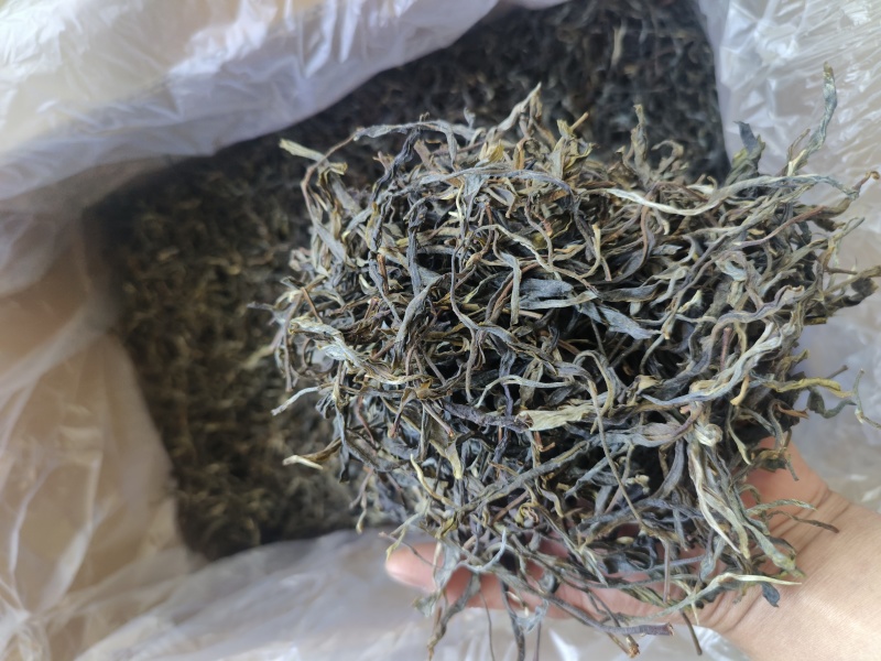 云南普洱茶