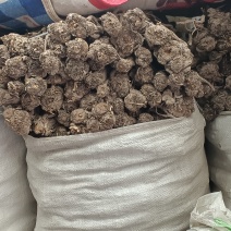中药材独话