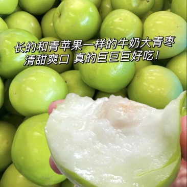 正宗福建牛奶脆蜜枣