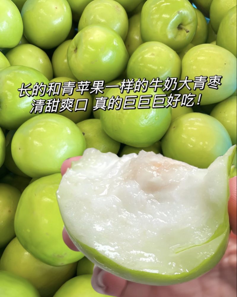 正宗福建牛奶脆蜜枣