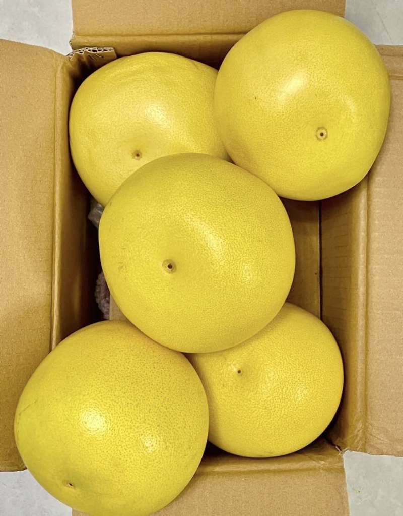 广西三红柚红心蜜柚大量上市对接各大市场商超平台欢迎致电