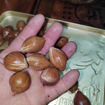 工艺榄核