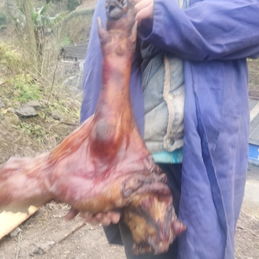 腊肉香肠猪脚