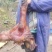 腊肉香肠猪脚