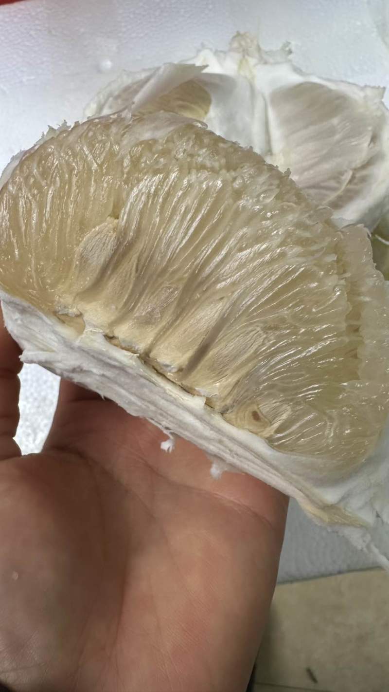 正宗沙田柚纯甜无酸水分充足