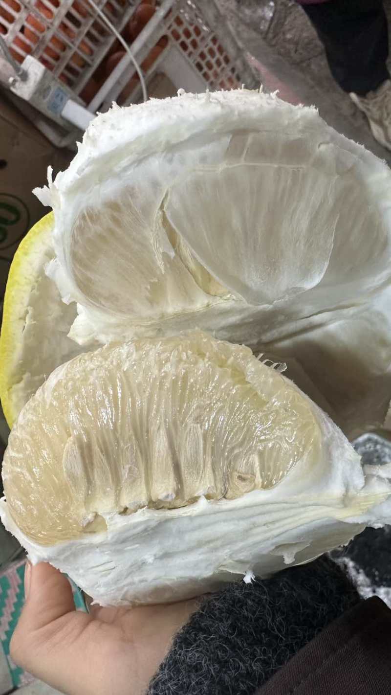 正宗沙田柚纯甜无酸水分充足