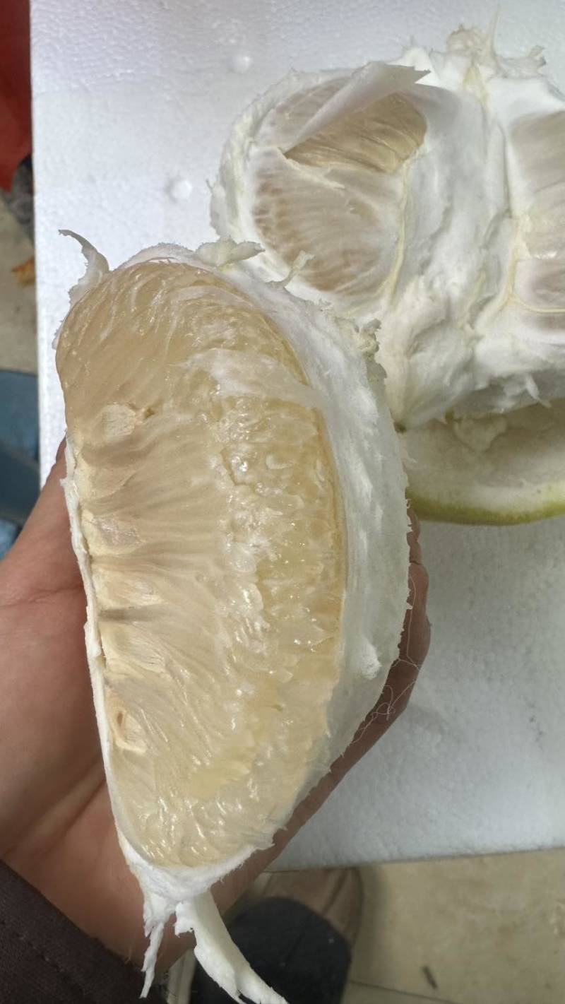 正宗沙田柚纯甜无酸水分充足