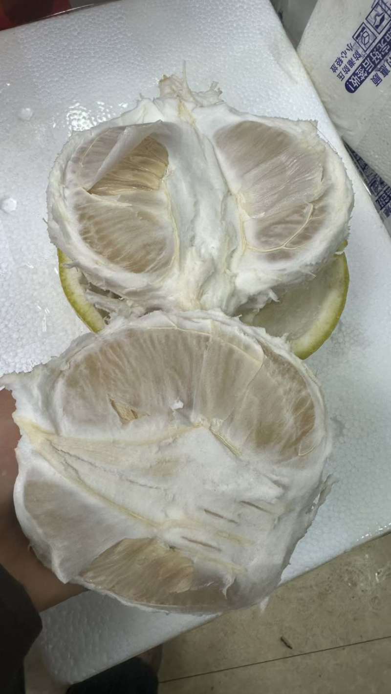正宗沙田柚纯甜无酸水分充足