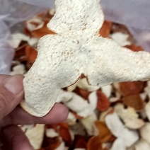 广西陈皮