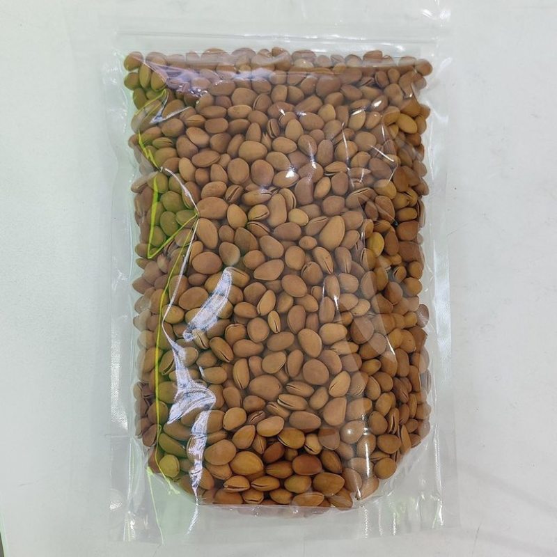新货华山松大开口松子支持电商一件代发批量拿货