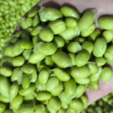 毛豆和毛豆米