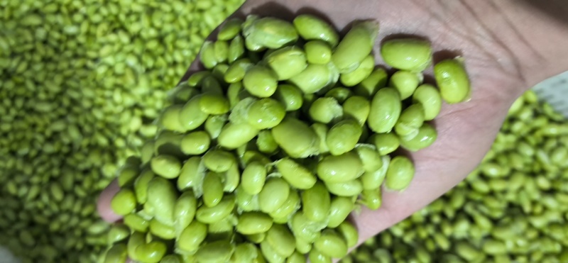 毛豆和毛豆米
