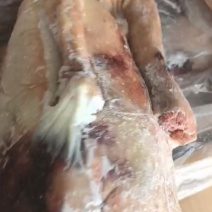 三级鹅两光三光全鹅都有，7吨