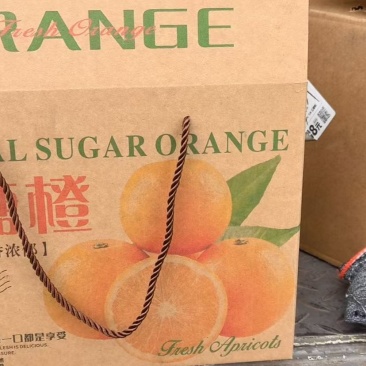 冰糖橙批发