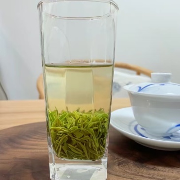 五峰毛尖绿茶