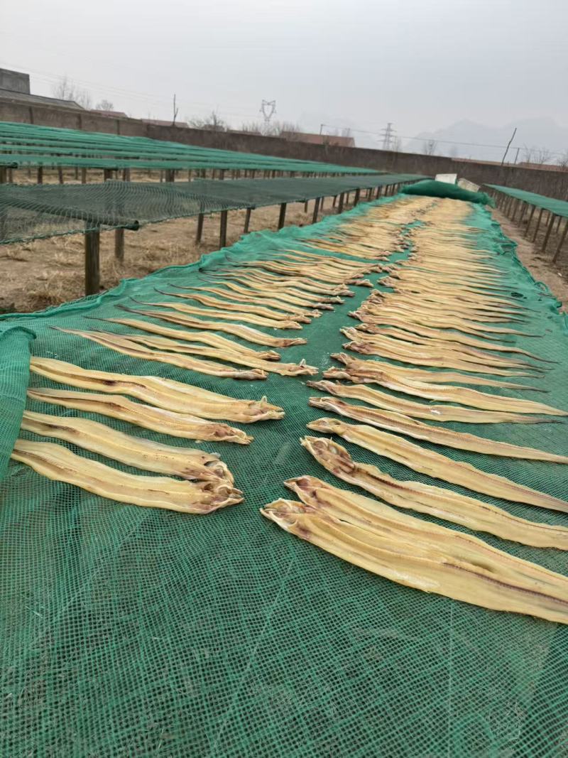鱼干半斤以上