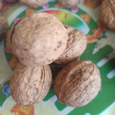 纯核桃油