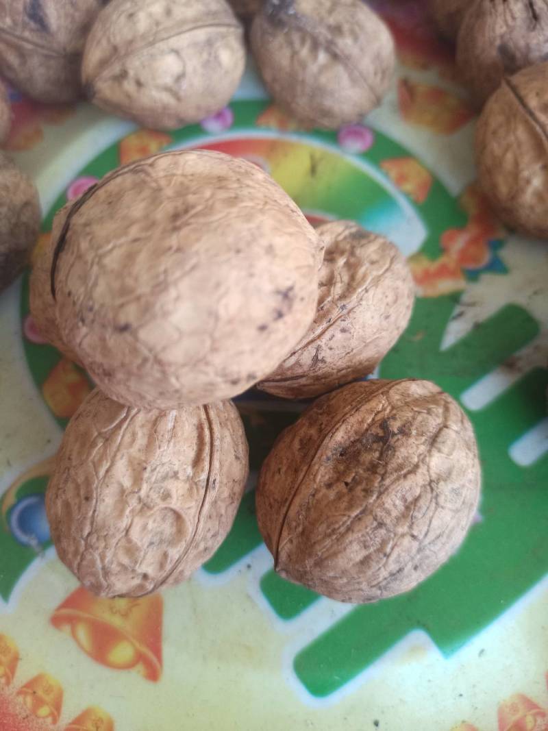 纯核桃油