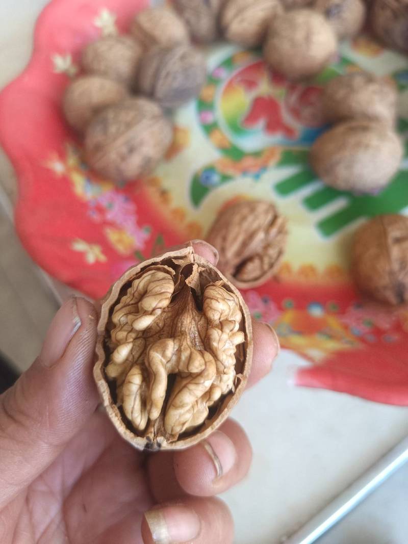 纯核桃油
