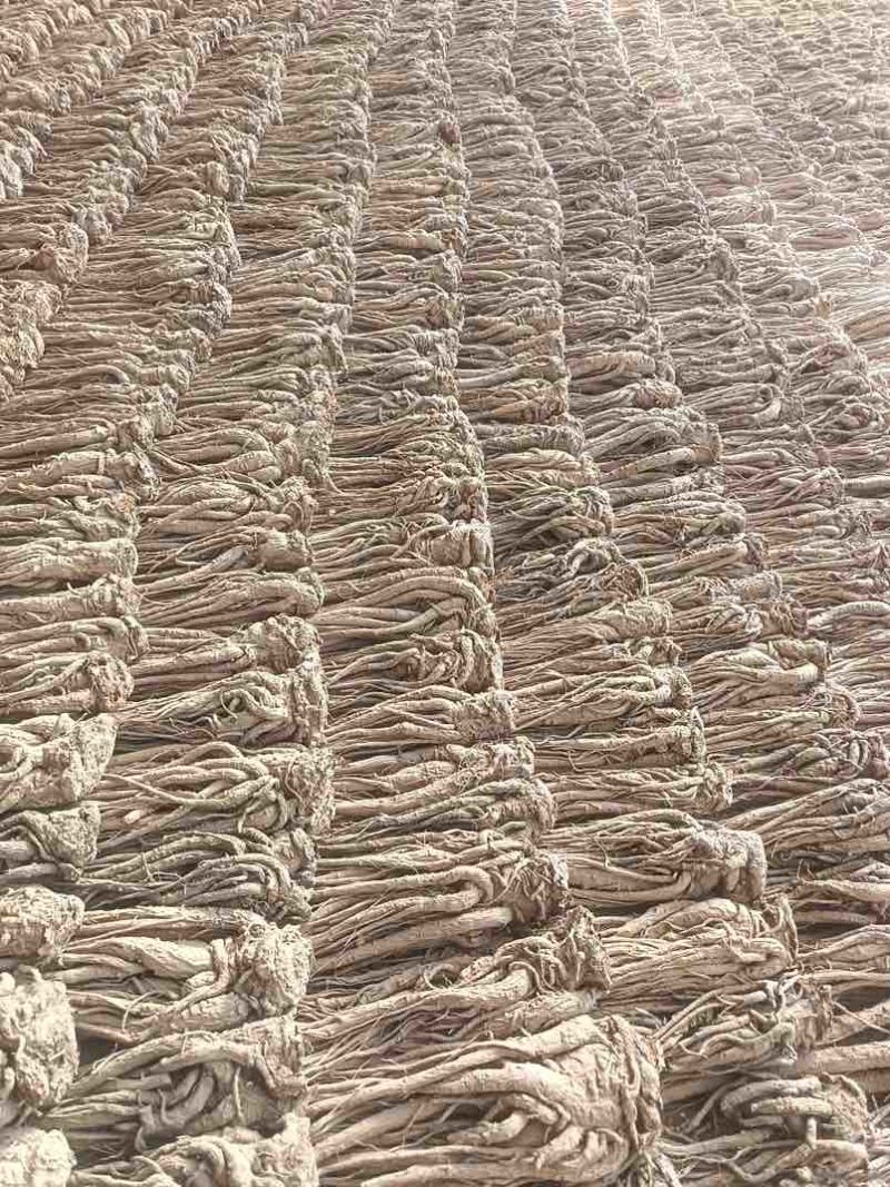 新鲜当归原产地保证24小时在线服务***