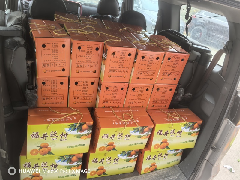 漳州台商投资区福井沃柑
