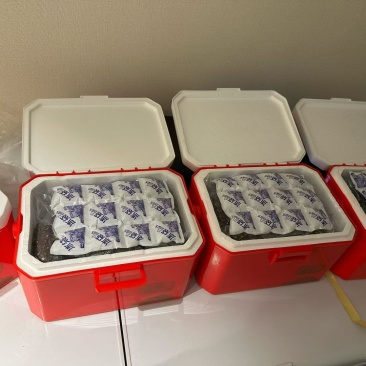 源头直供高品质海参✅年货清单