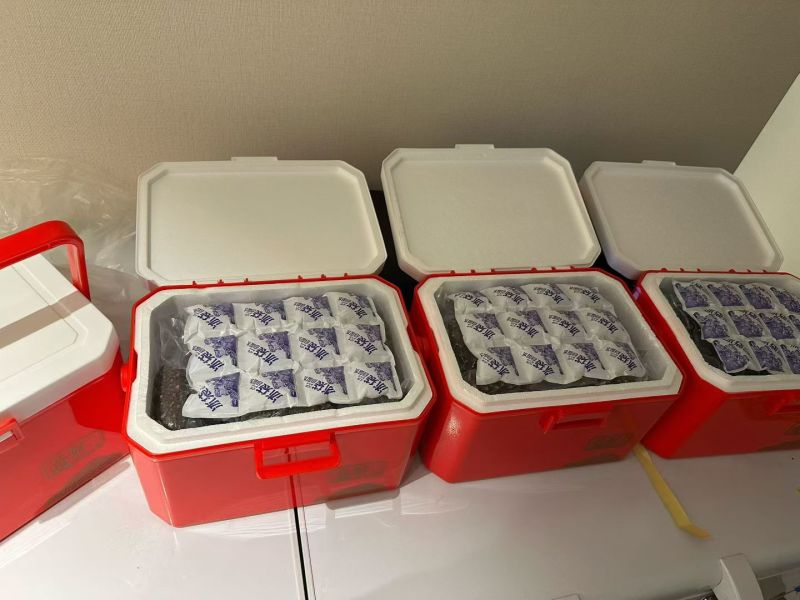 源头直供高品质海参✅年货清单