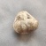 自己家杀羊出的羊宝羊结石需要的老板联系