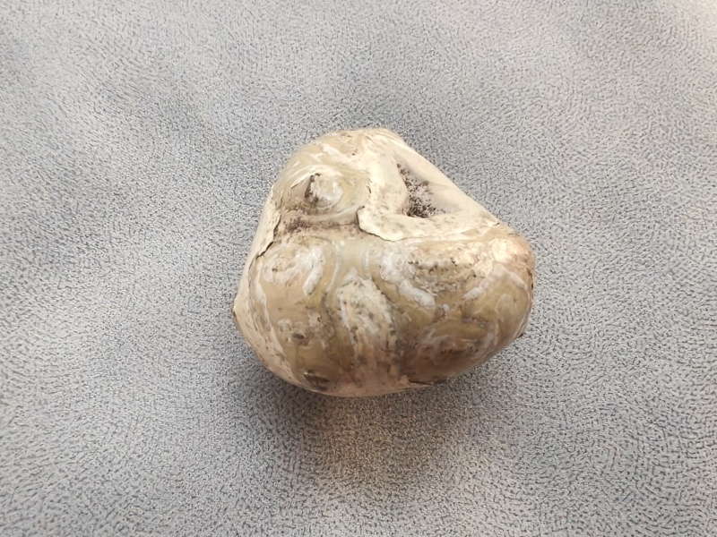 自己家杀羊出的羊宝羊结石需要的老板联系