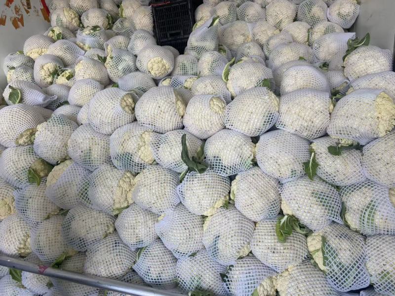 精品有机散花